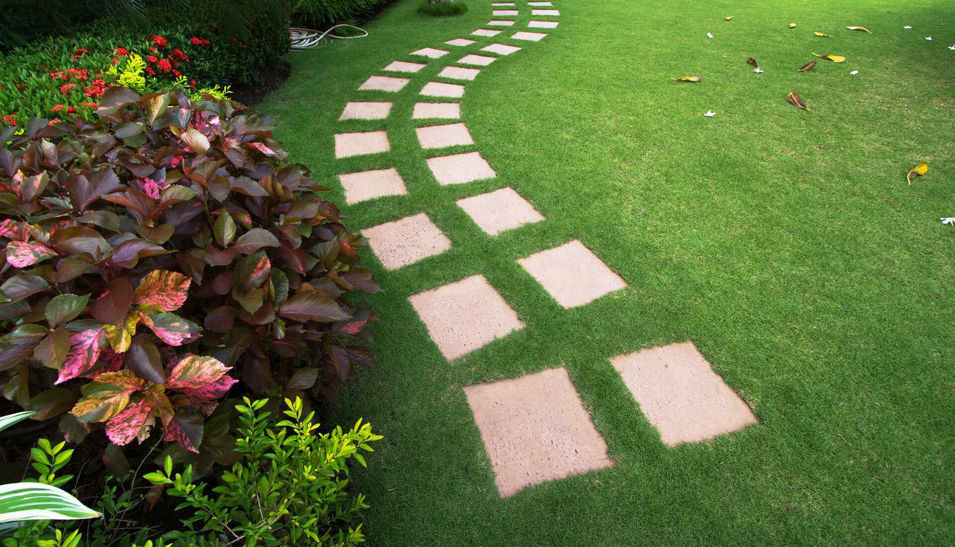 https://madridlawnservicesllc.com/wp-content/uploads/2019/08/home_4_gallery_1.jpg